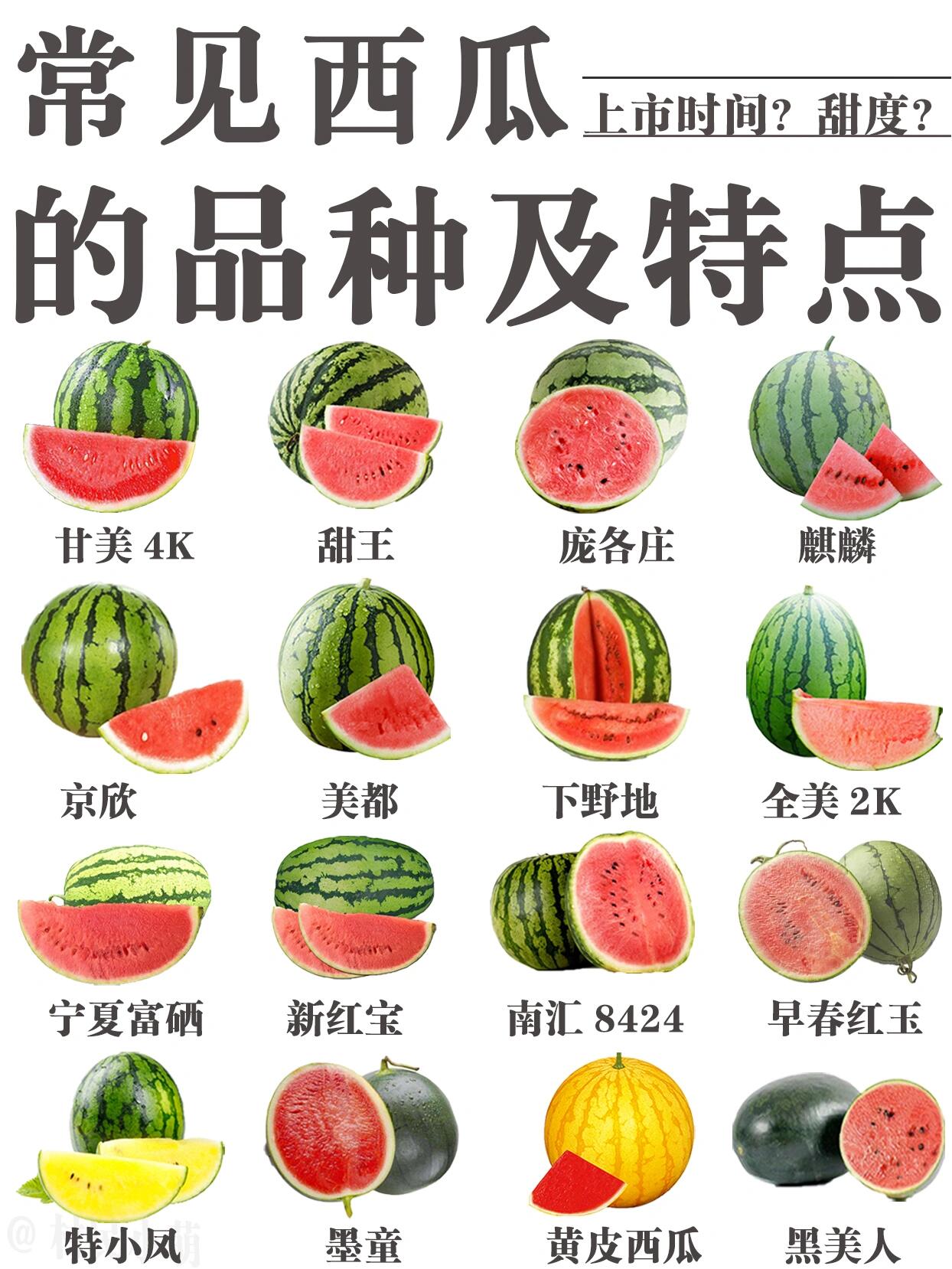 早佳8424西瓜品种介绍(早佳8424露地详细栽培技术)