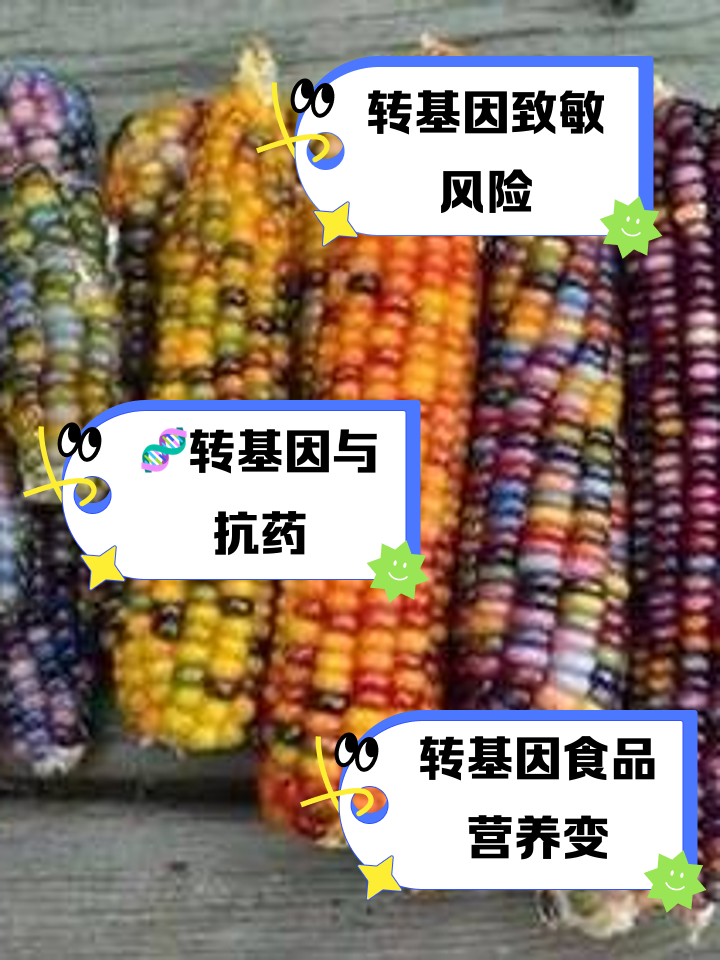 转基因技术的利弊(转基因技术利弊问题)