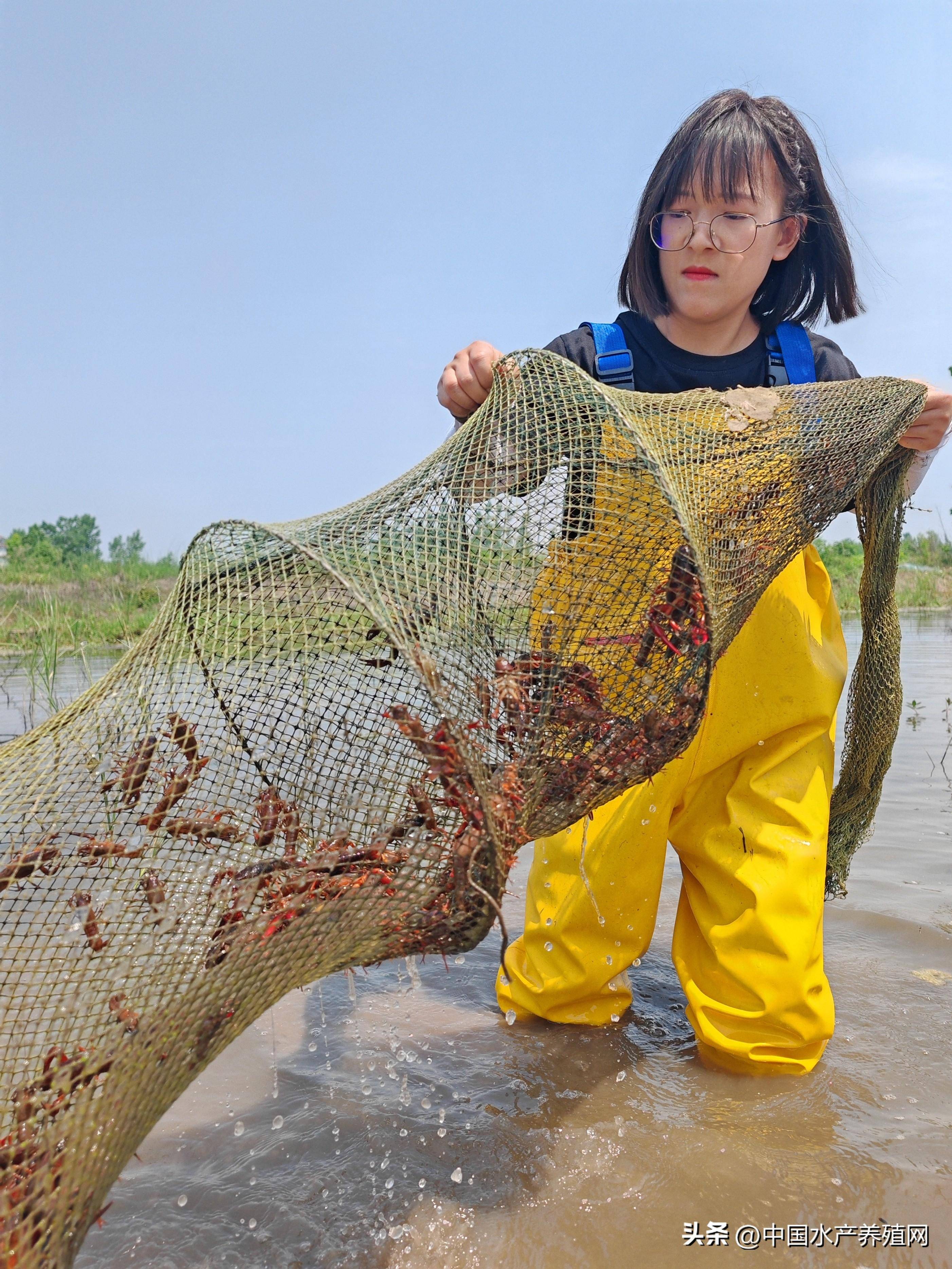 如何养殖水产品(如何养殖水产品视频)