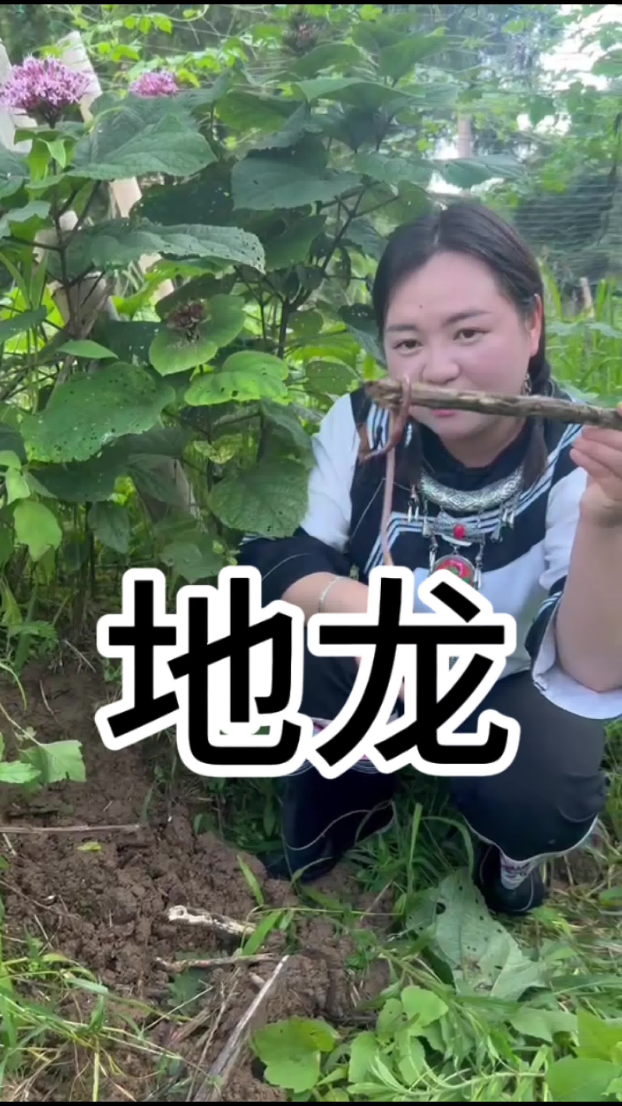 地龙养殖方法(地龙养殖方法和价格)