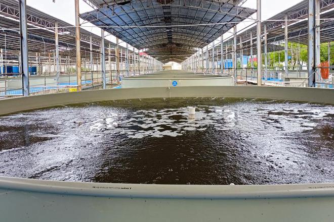 广东水产养殖基地(广东水产养殖基地哪个市工资高些)