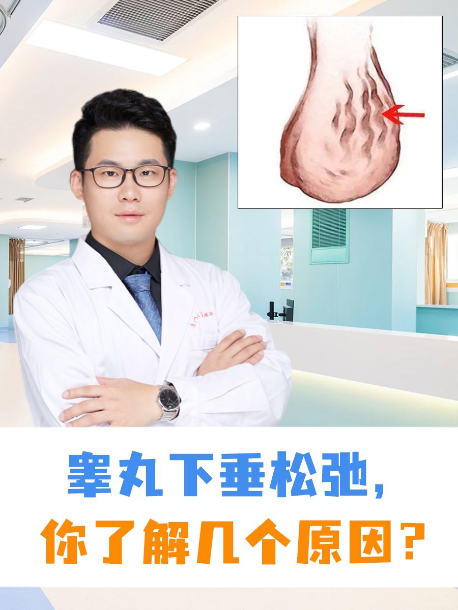 储存精子的地方(储存精子的器官是)
