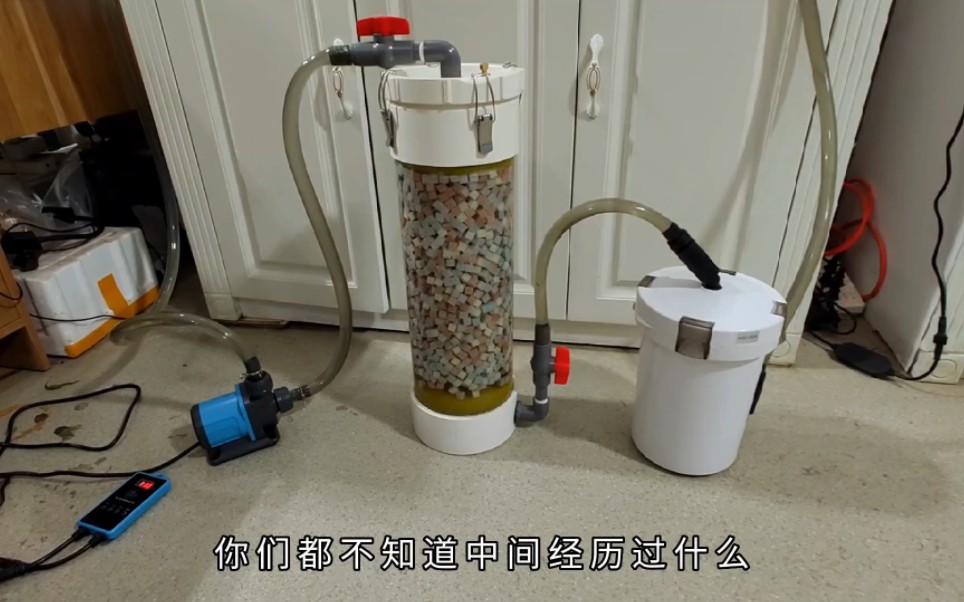 草缸用什么过滤好(草缸适合用什么过滤)