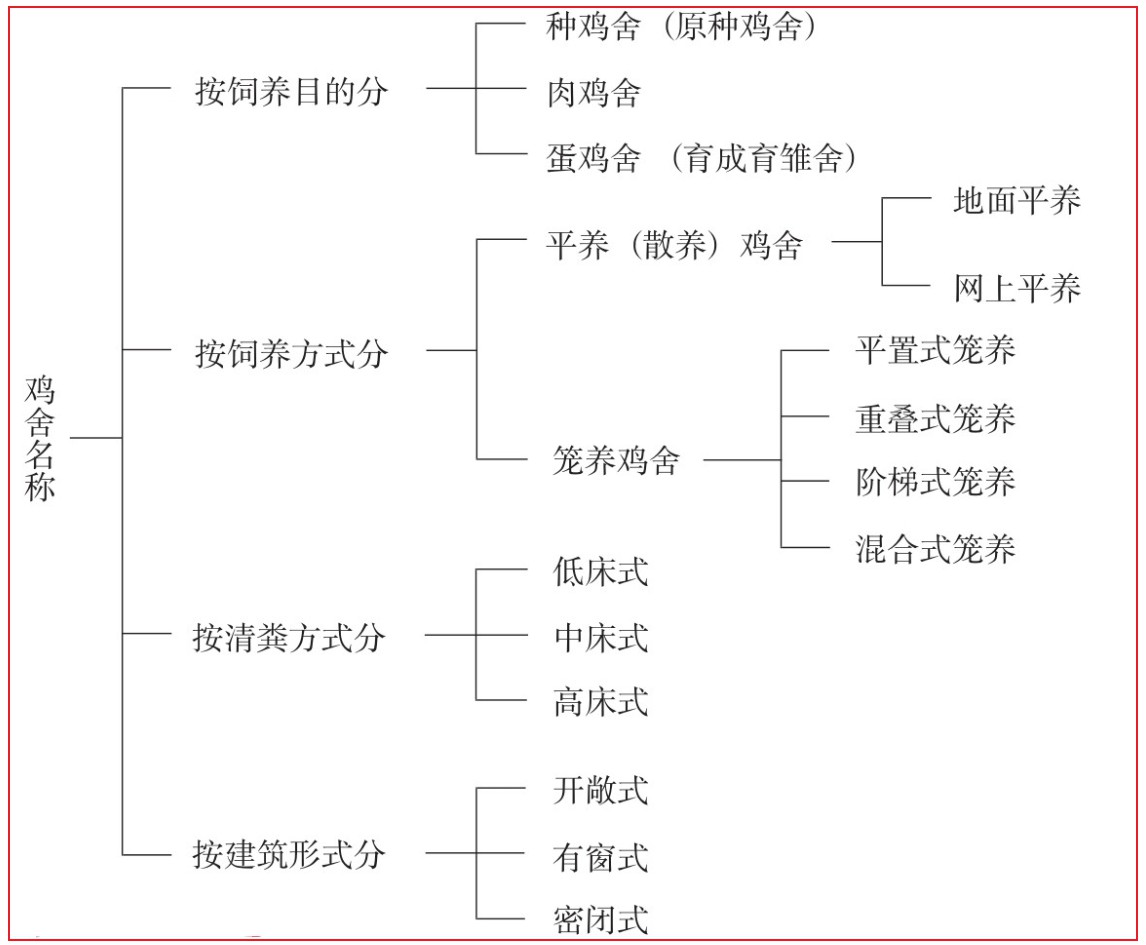 蛋鸡散养实用技术(蛋鸡散养实用技术大全)