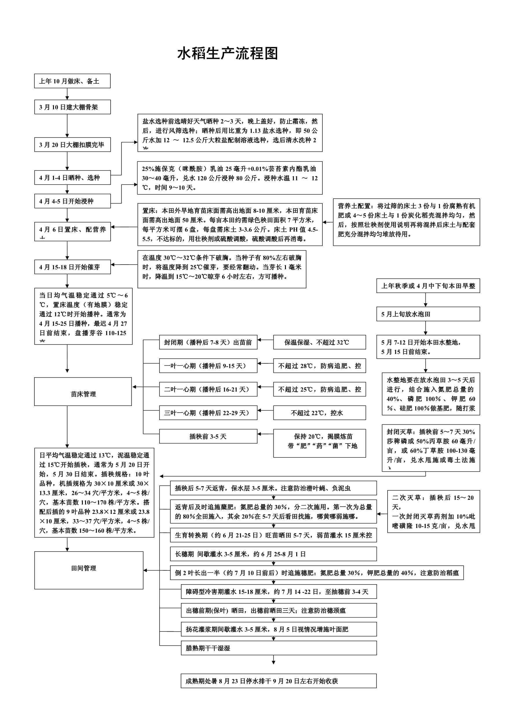 水稻考种方法(水稻考种的具体方法)