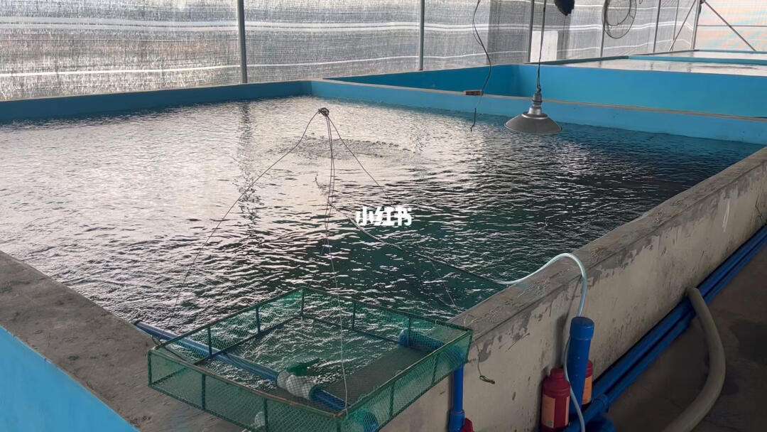 小型室内水产养殖(小型水产养殖场要办什么证)
