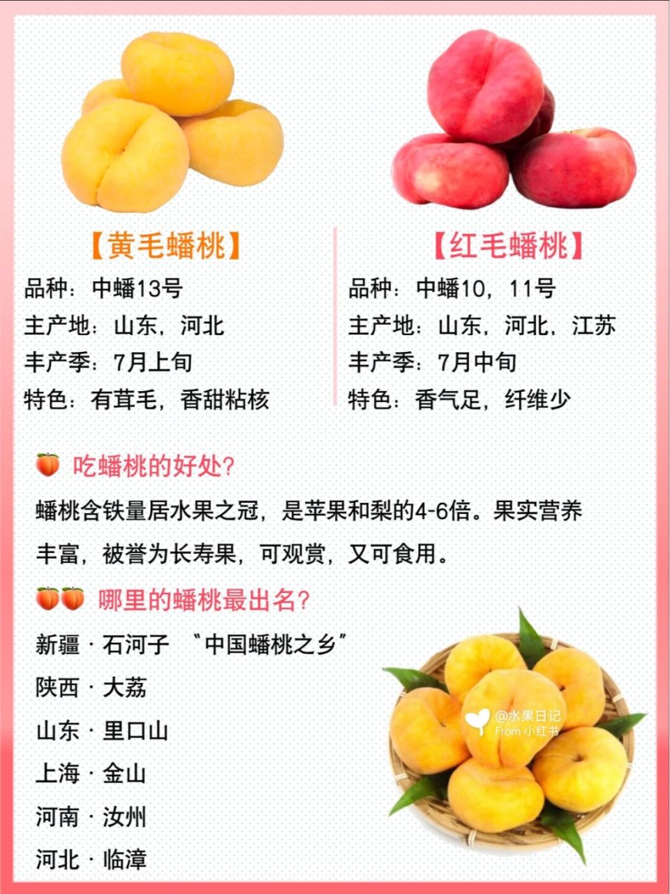 国内栽培用于桃子的品种有多少种(国内栽培用于桃子的品种有多少种呢)