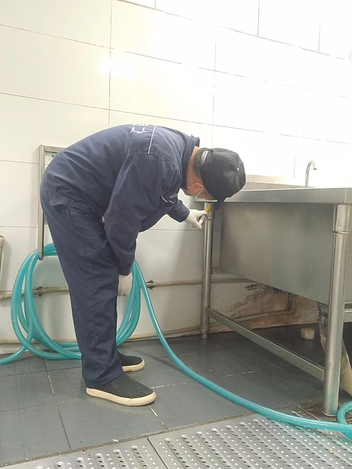 成都公司杀虫(锦江区杀虫公司报价)