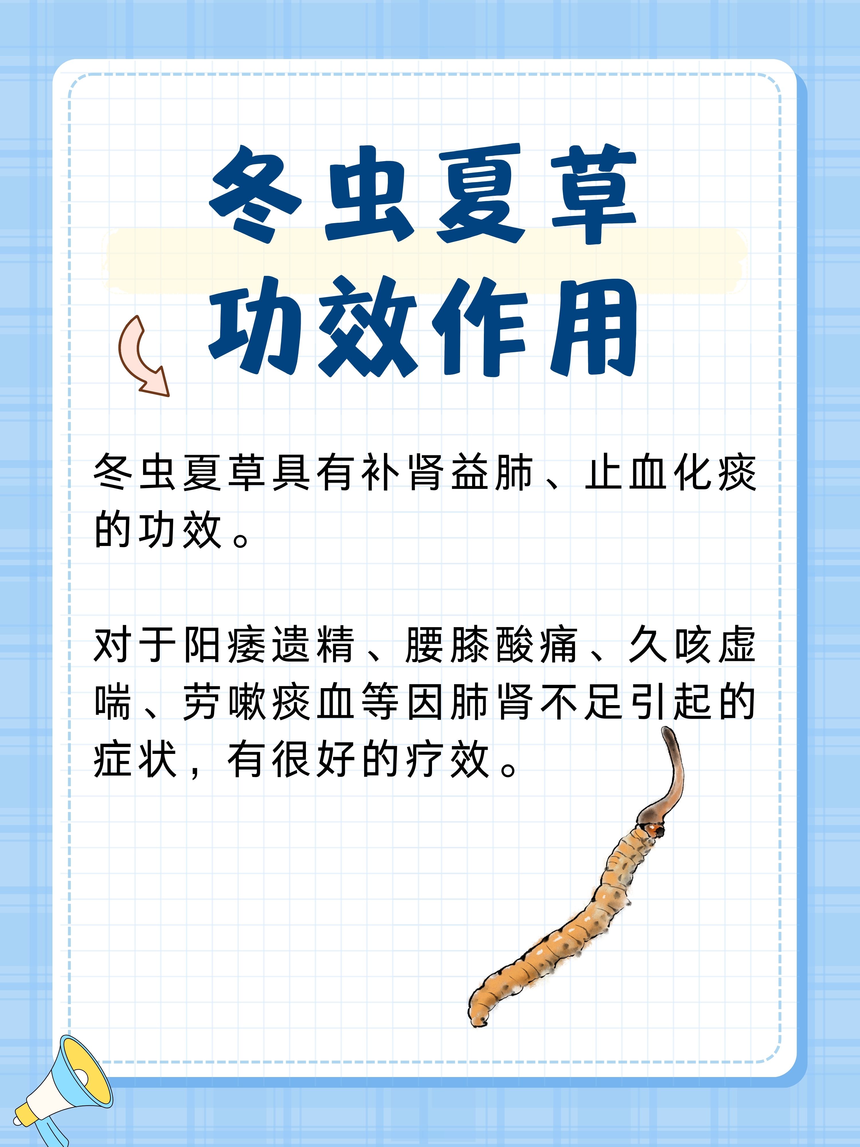 冬虫夏草怎么储藏(冬虫夏草怎样保存储藏为最好)