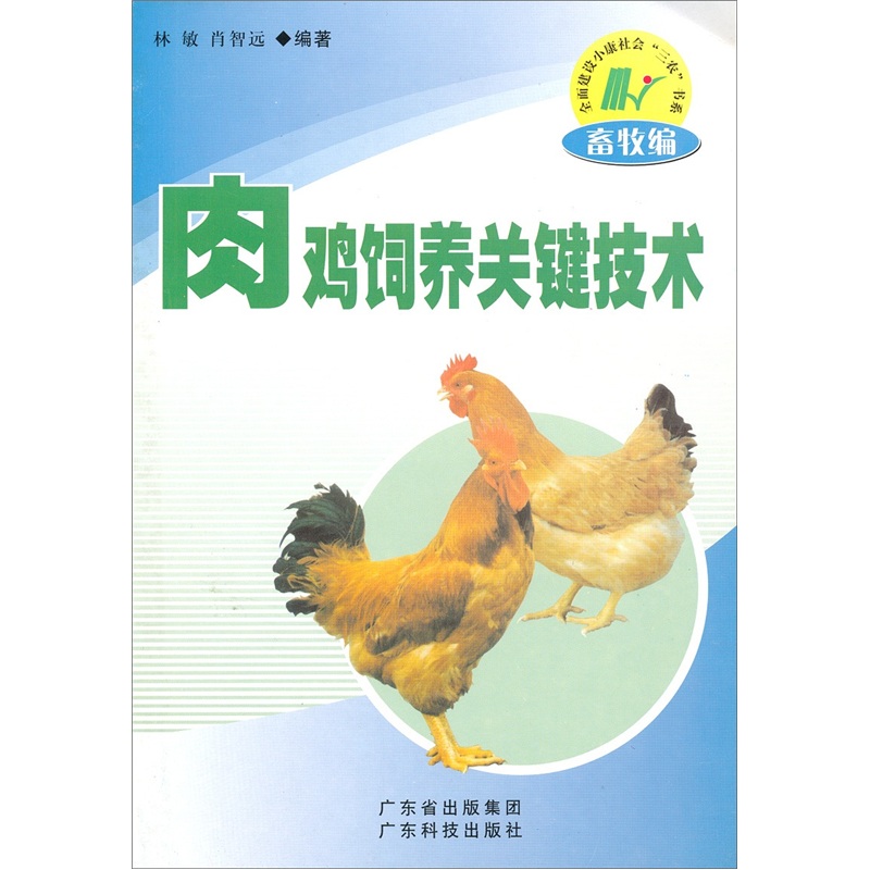 肉鸡的养殖技术(肉鸡的养殖技术视频)