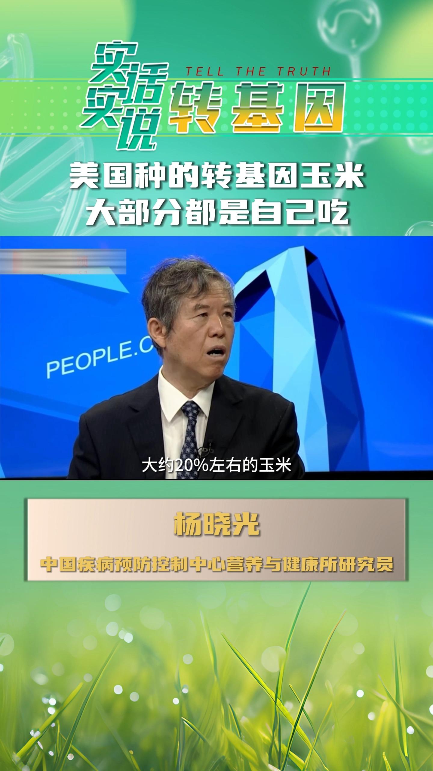 美国玉米转基因(美国转基因玉米种子)