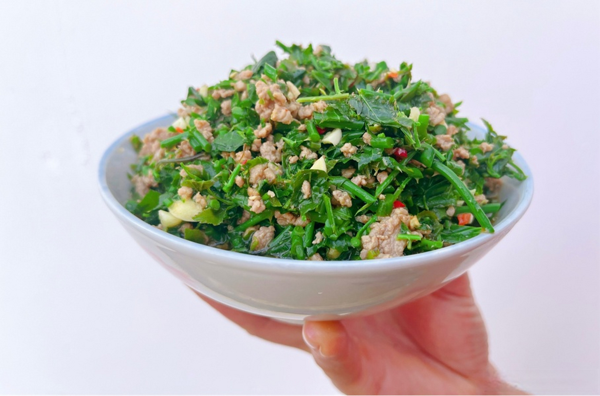水栽香菜(水栽香菜多久能长出新叶)