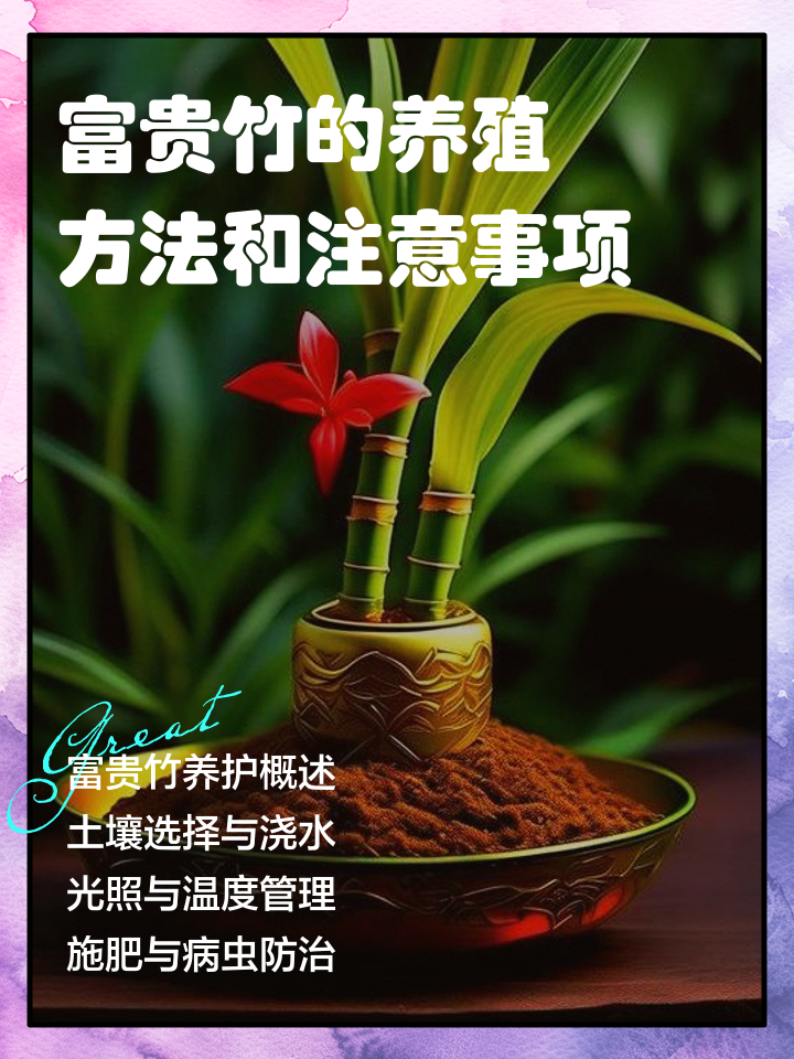富贵竹的养殖方法(富贵竹的养殖方法和注意事项)