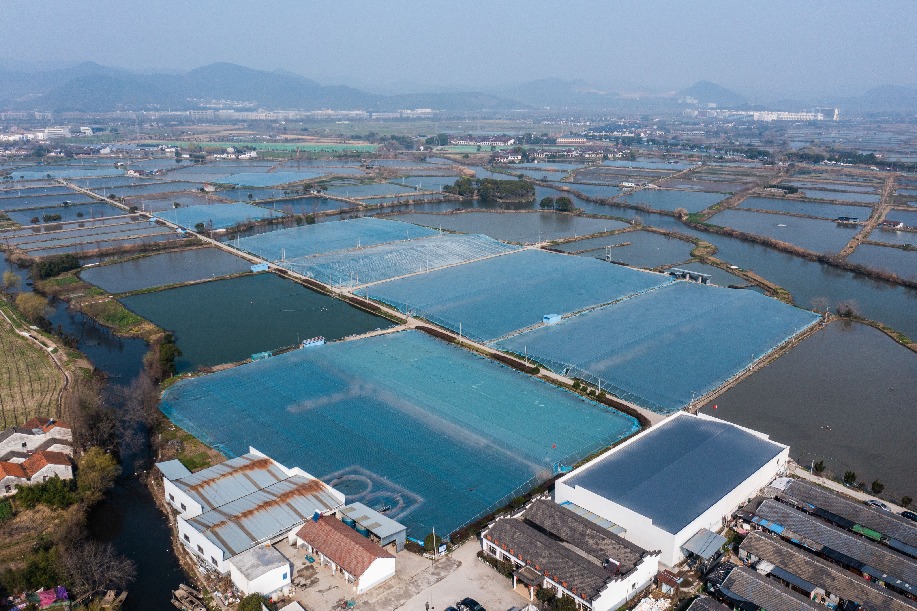 临沂养殖水产(临沂养殖水产养殖基地)