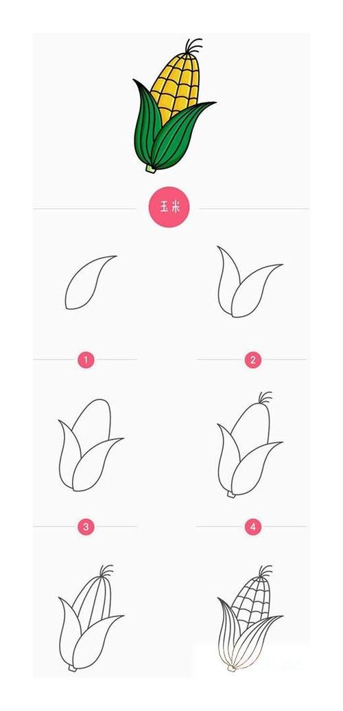 种玉米简笔画(简笔画玉米种子)