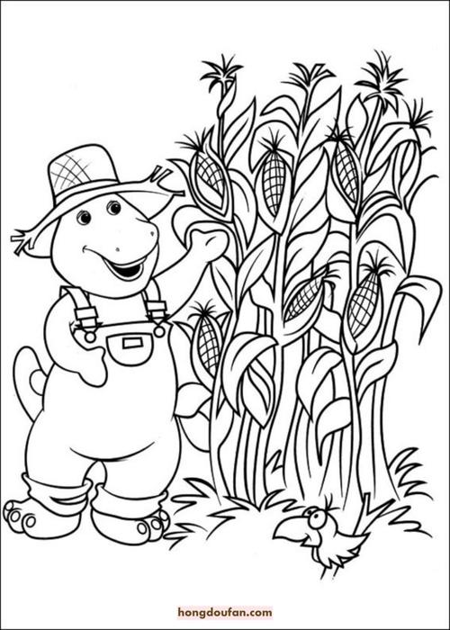 种玉米简笔画(简笔画玉米种子)