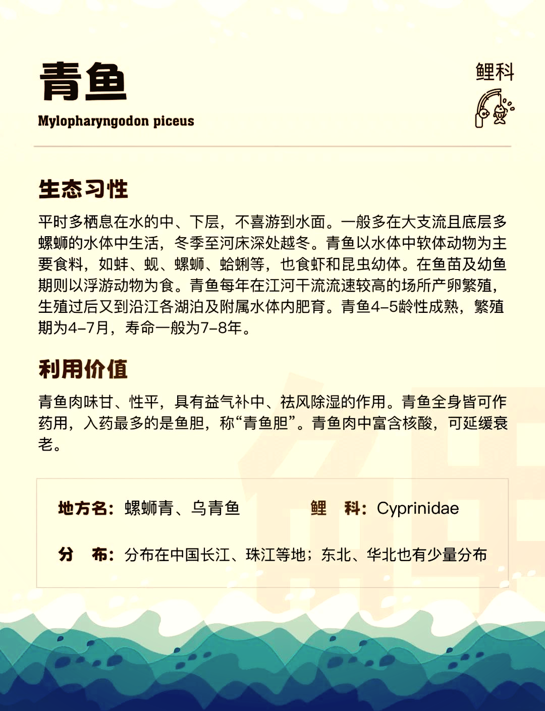 青鱼的养殖技术(青鱼的养殖技术与管理)