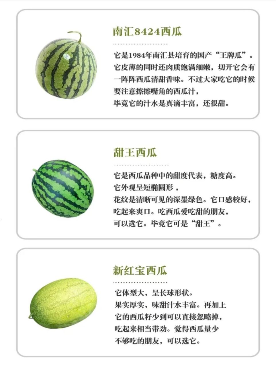 西瓜品种选择(西瓜品种选择标准)