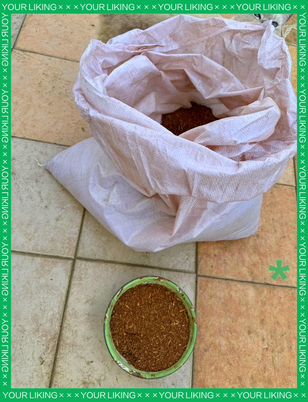 茶枯直接撒在土里会怎样(茶枯可以直接埋土里种菜吗)