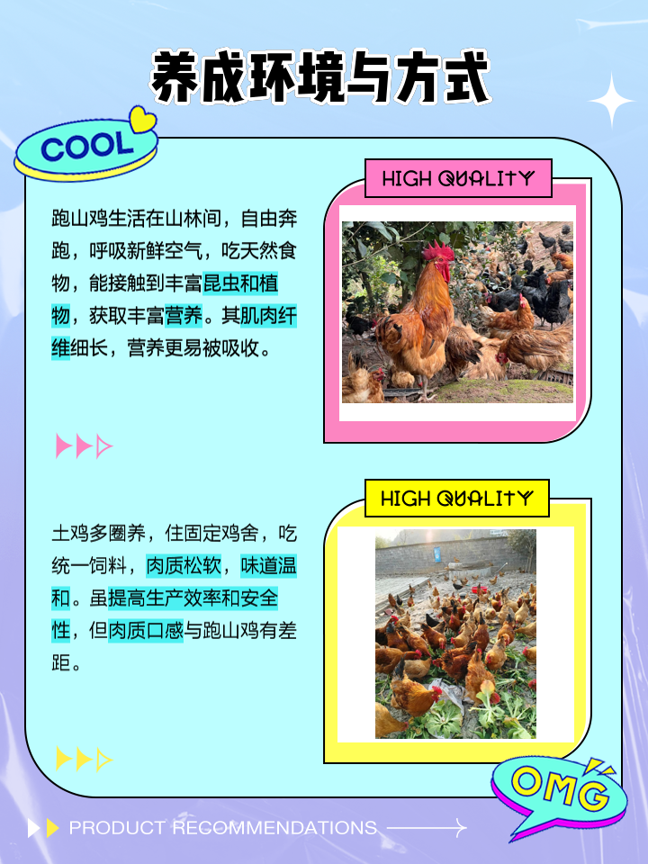 关于肉鸡饲养,土鸡的饲养利润,,2.45,2,高,培育词的信息