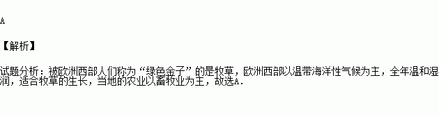 欧洲为什么不种水稻(欧洲为什么不发展种植业)