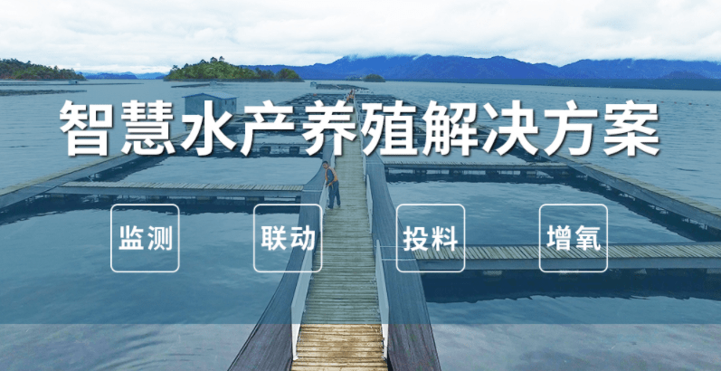 水产智慧养殖(水产智慧养殖服务平台对于政府的作用)