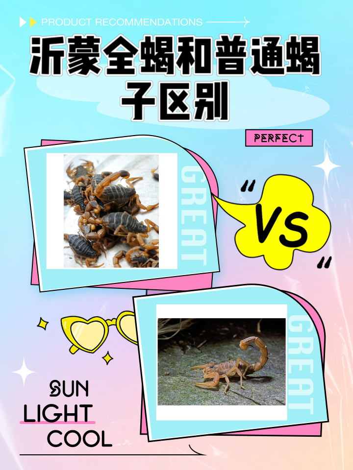 关于全蝎养殖技术(详细版)的信息