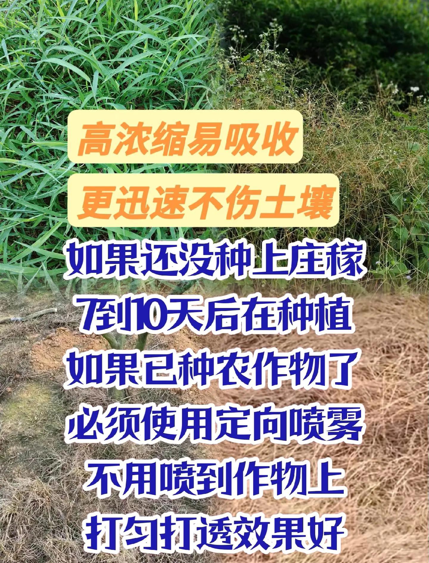 除草的意思解释(除草的另一种说法)