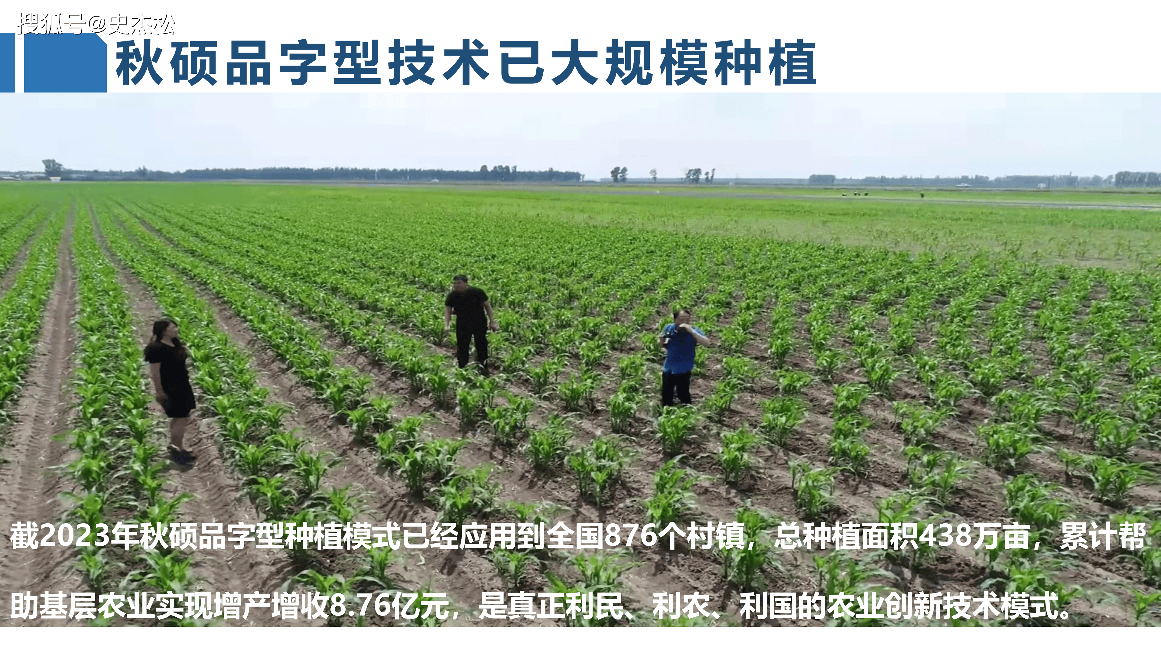 河南玉米种植面积(河南玉米种植面积2024)