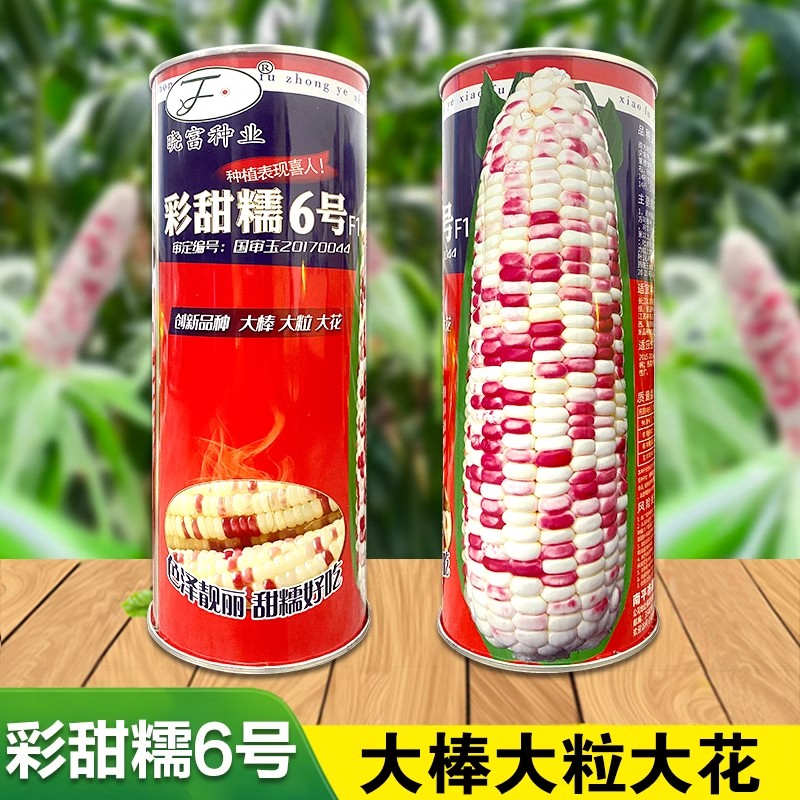 甜玉米种(甜玉米种植株距行距是多少)
