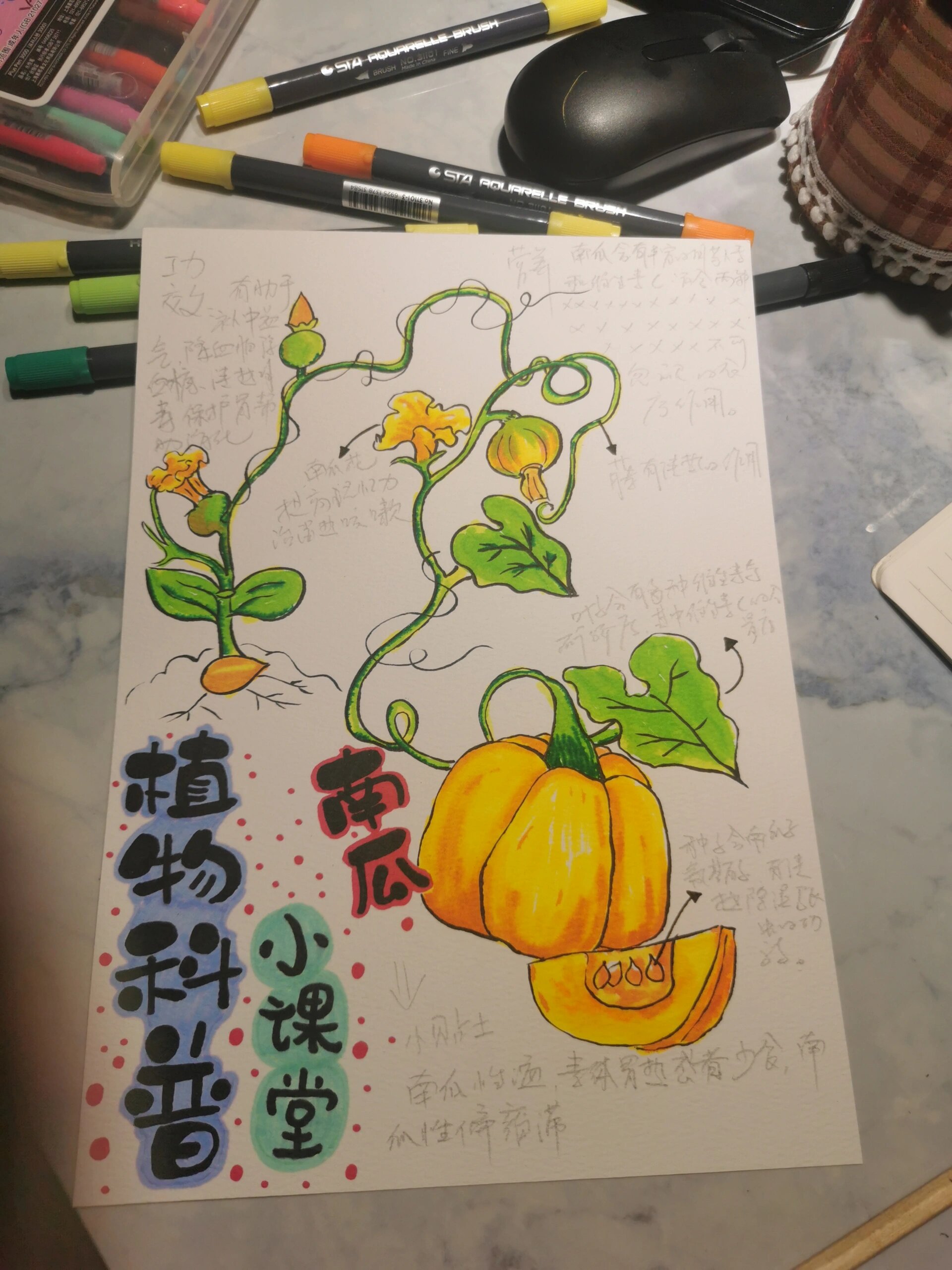 南瓜的种植方法(南瓜的种植方法和时间)