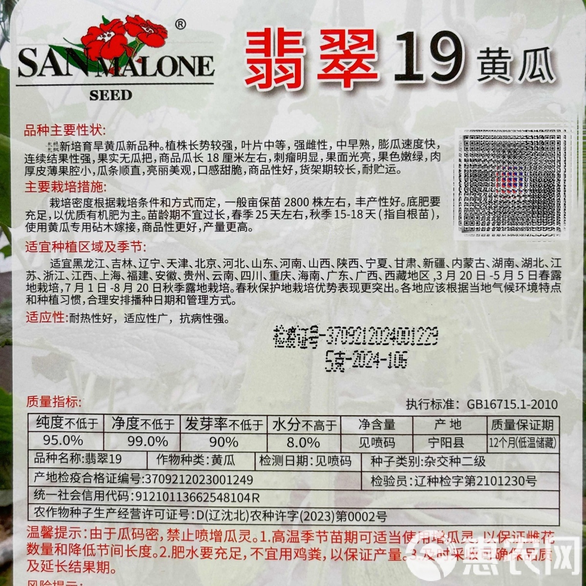水果黄瓜种子怎么种(水果黄瓜种植技术视频)