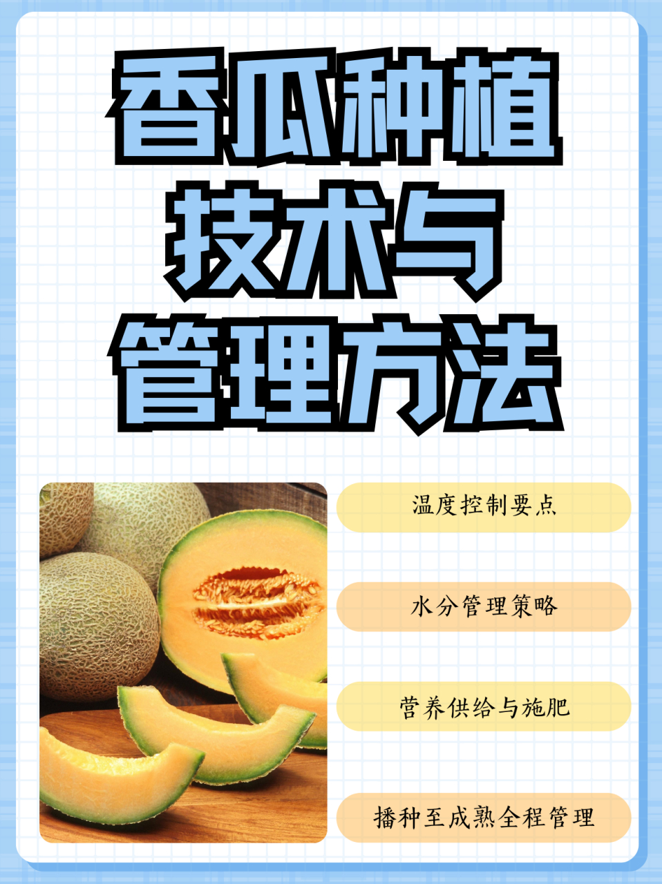 甜瓜的种植时间和温度(甜瓜种植温度生长温度是多少)