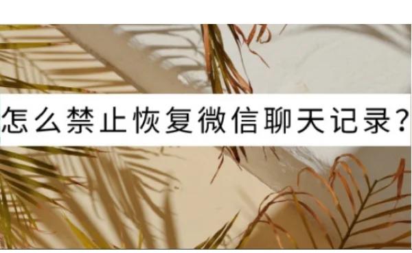 永久清楚微信聊天记录(永久清楚微信聊天记录的软件)