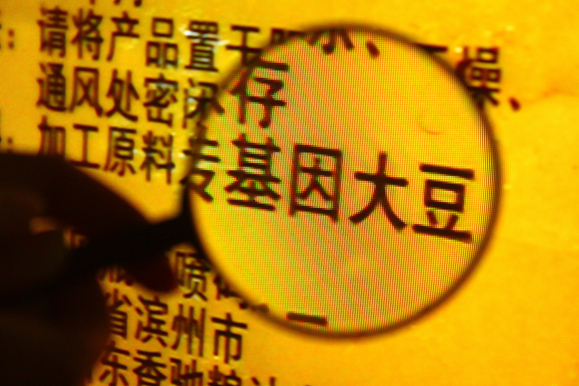 如何鉴别转基因玉米(如何鉴别转基因玉米和水果玉米?)