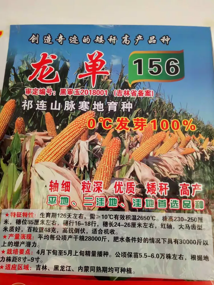 科泰1107玉米品种介绍(科泰1107玉米品种审定公告)