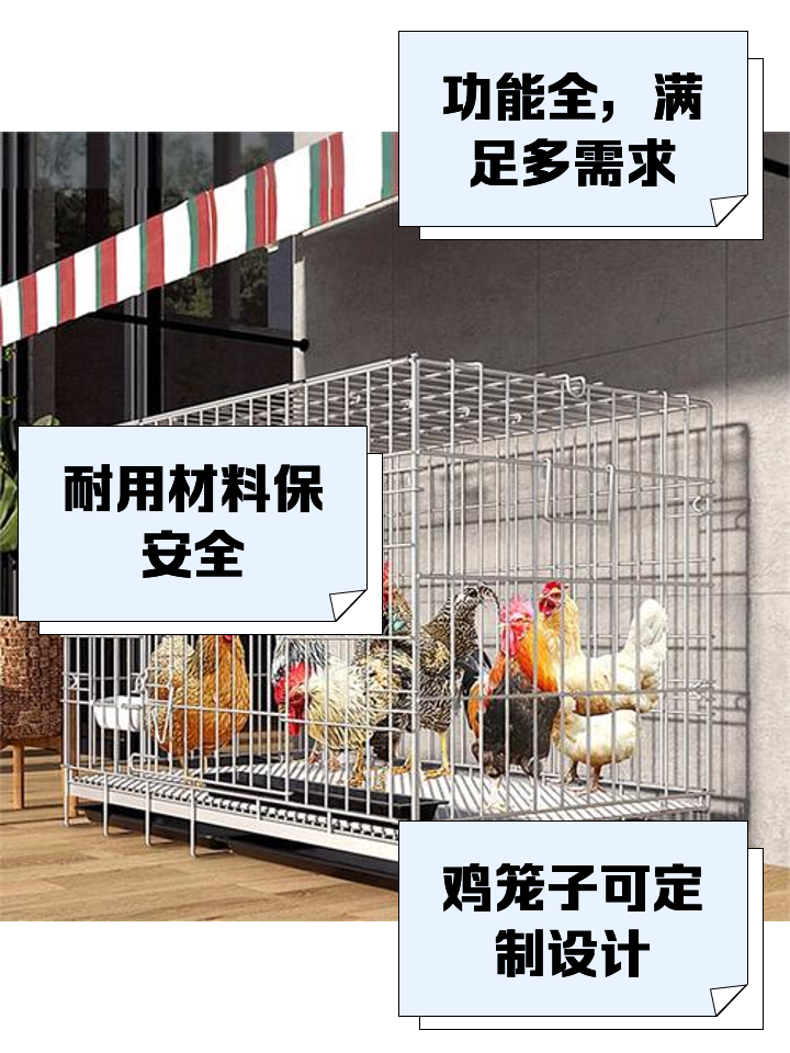 农村养鸡笼(农村养鸡笼子设计图)