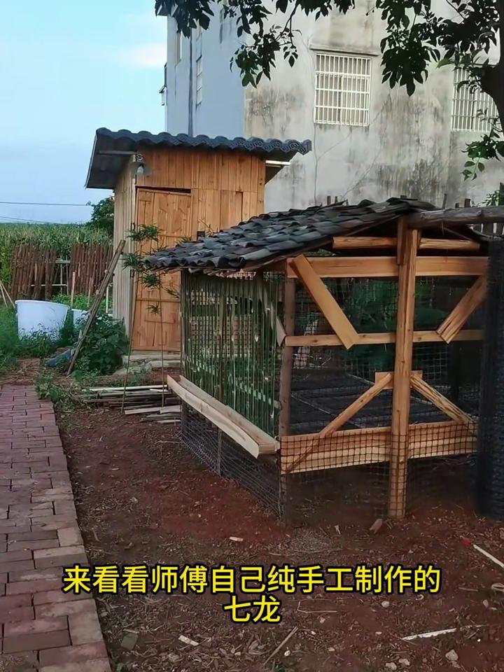 农村养鸡笼(农村养鸡笼子设计图)