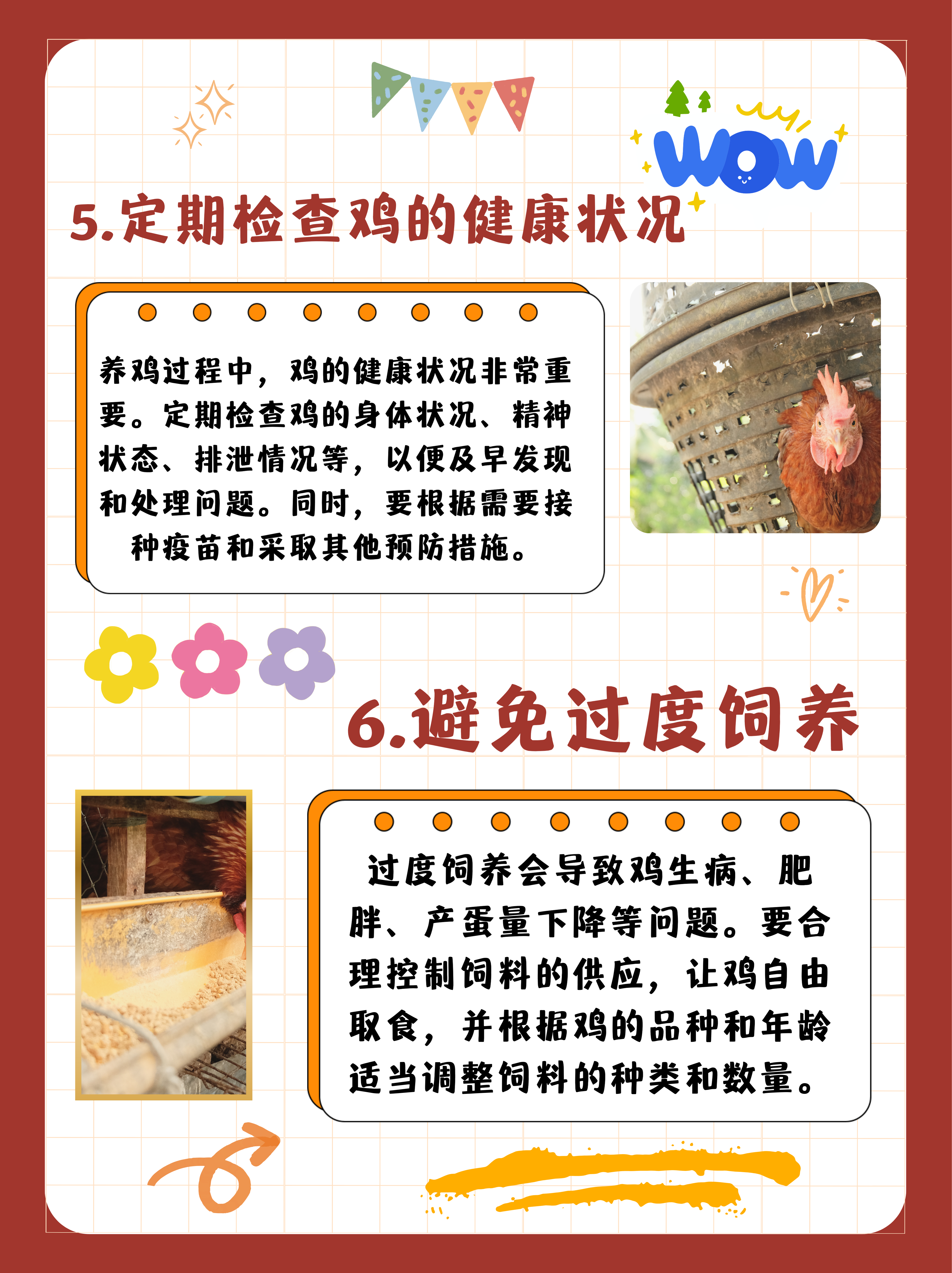 青年鸡的饲养管理(青年鸡的饲养管理方法)