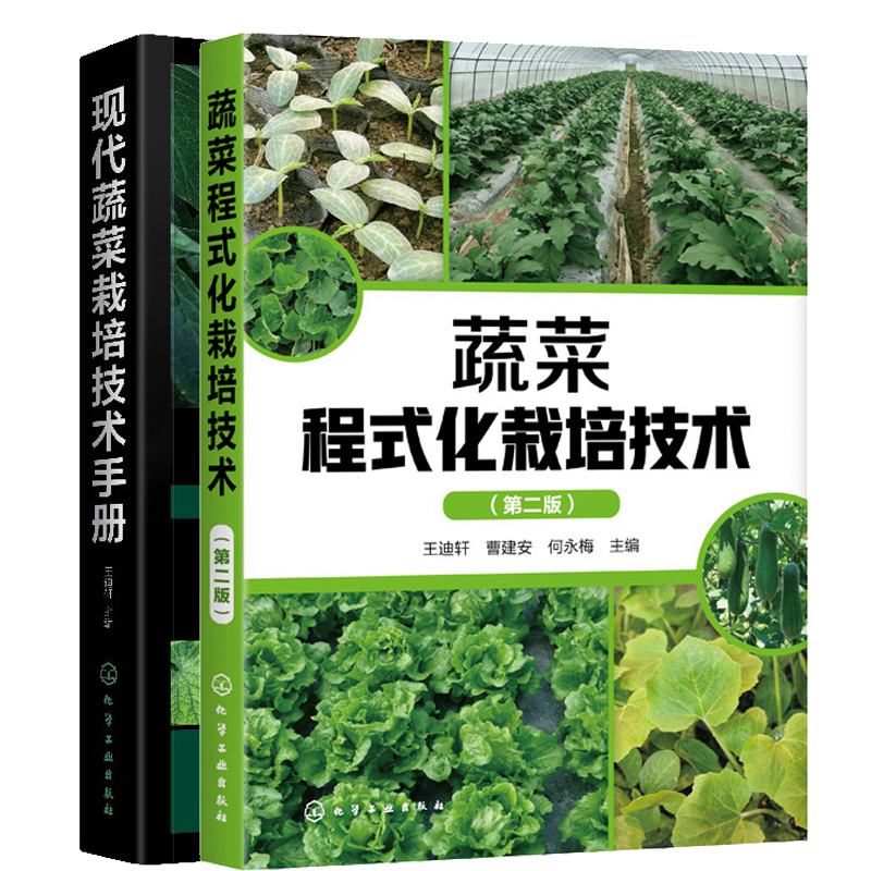 各种蔬菜种植和管理的方法(各种蔬菜种植和管理的方法有哪些)