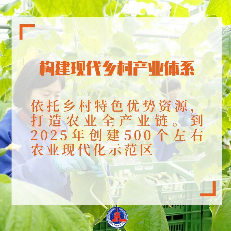 何为三农(何为三农问题)