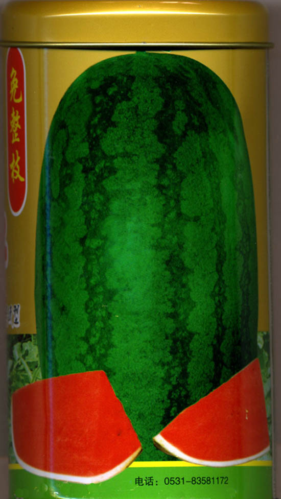 大型西瓜种子(大型西瓜种子怎么种)