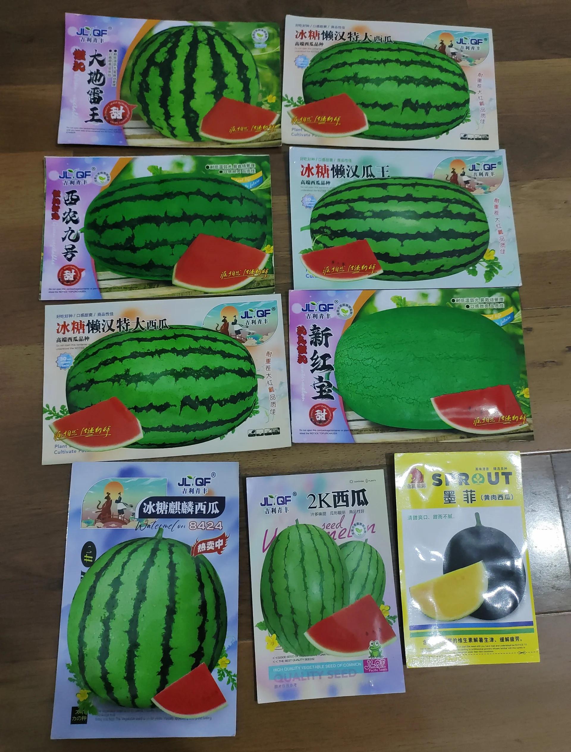 西瓜的种植与管理(苦瓜种植技术与管理)
