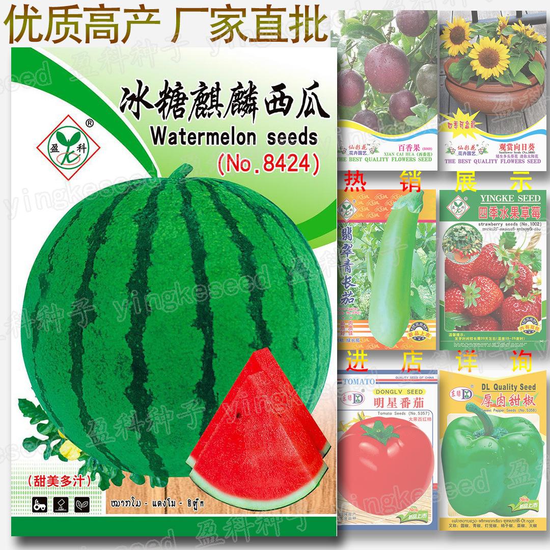 西瓜种子品牌排行榜(国内最有实力的西瓜种子公司)