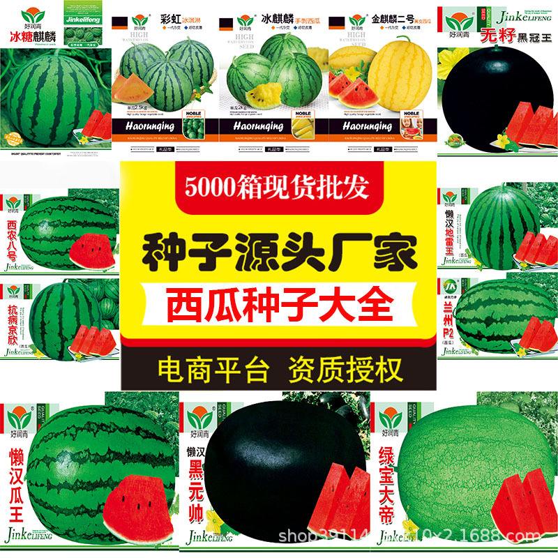 西瓜种子品牌排行榜(国内最有实力的西瓜种子公司)