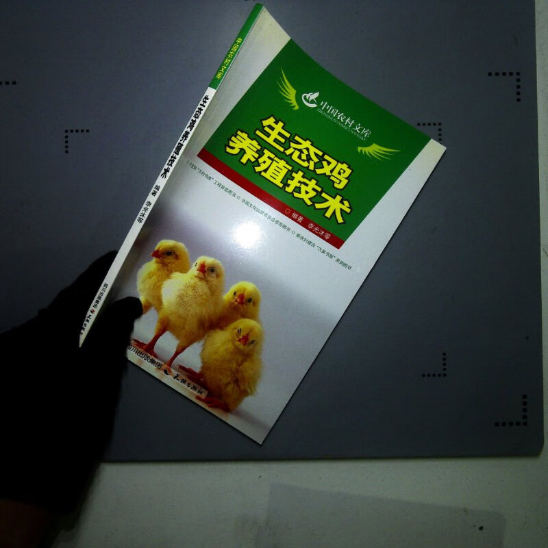 鸡养殖技术(无量山乌骨鸡养殖技术)