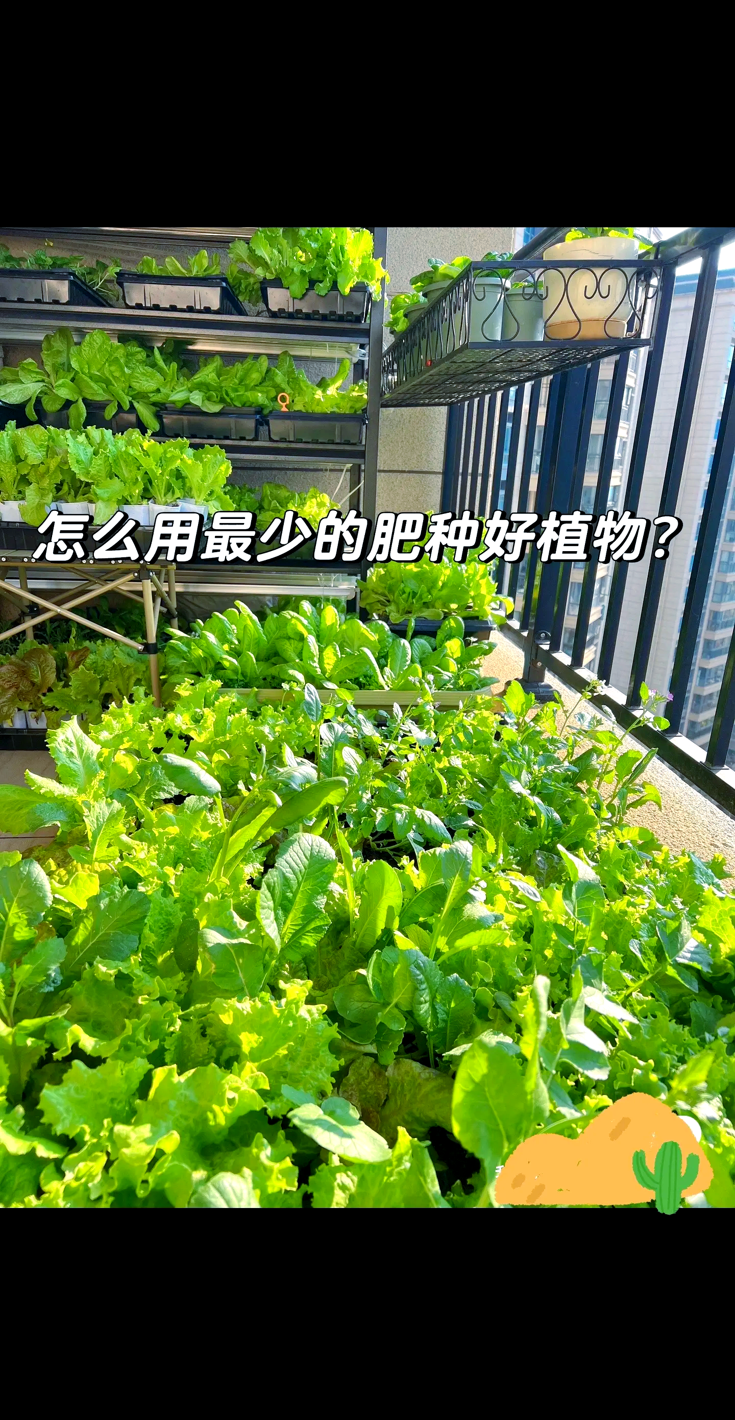 盆栽需要施肥吗(盆栽需要施肥吗为什么)