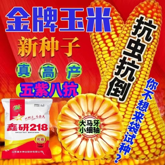 济南市玉米多少钱一斤(济南的玉米价格多少钱一斤)