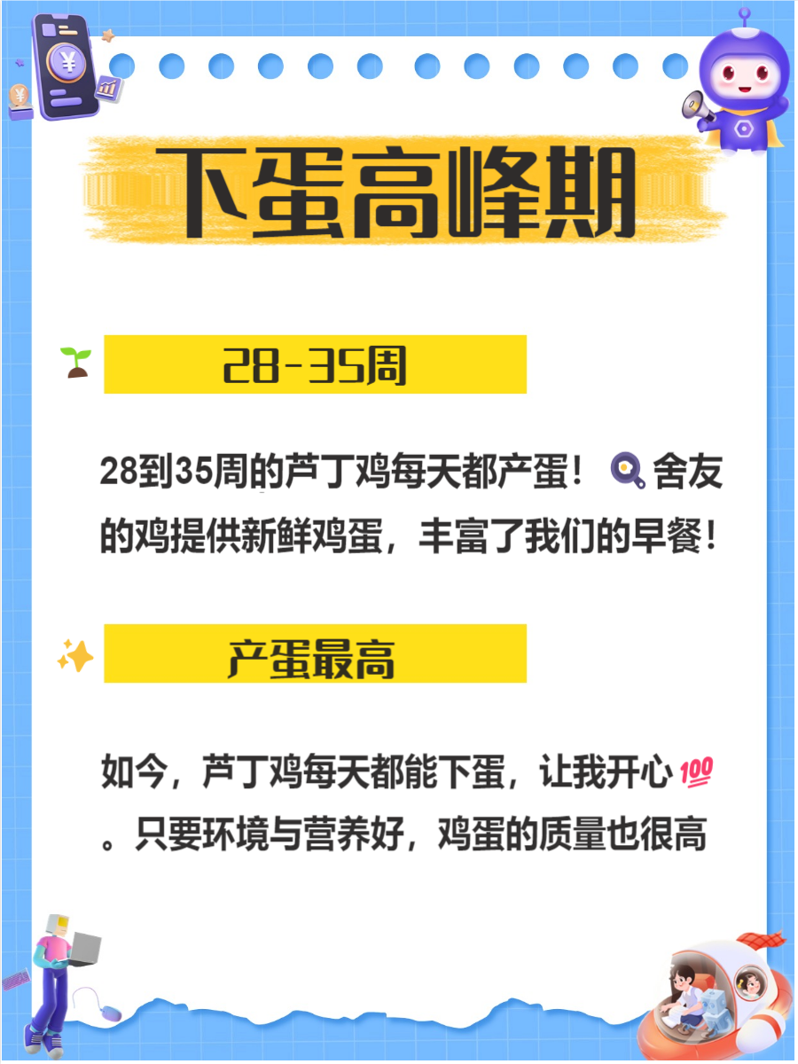 芦丁鸡养几个月下蛋(芦丁鸡养几个月可以杀了吃)