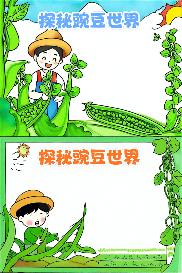 菜豌豆种植技术与管理(菜豌豆种植技术与管理视频)